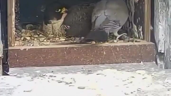 Your delivery has arrived.