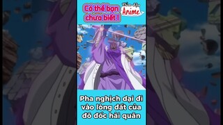 Đô đốc nghịch dại nhất One Piece #onepiece #shorts