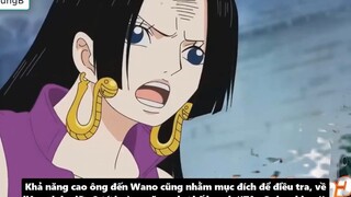 Bí Ẩn Về Cựu Đô Đốc Aokiji Nguồn Gốc Sức Mạnh Tiền Truy Nã p10