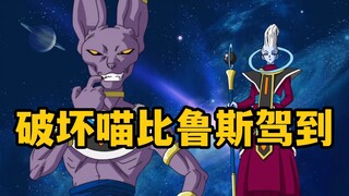 龙珠超1：这只小猫有点猖狂呀！悟空快盘他！