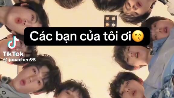 TF gia tộc