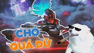 Akali Siêu Phẩm của HyNam và chú Cún thần dự đoán tương lai :))