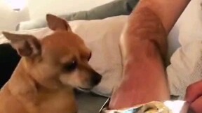 ลูกน้อยเร่งด่วน!