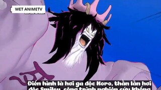 Top 10 Người Thông Minh Nhất One Piece #12 8