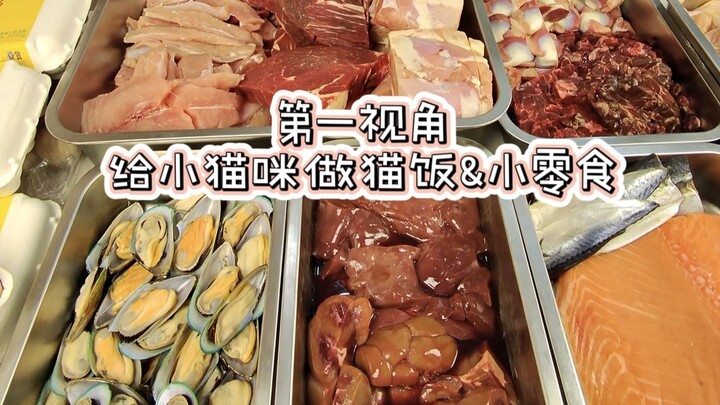 First-Person View | Making Cat Food & Treats for My Kitten