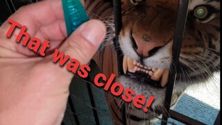 What is the meaning of this face ?