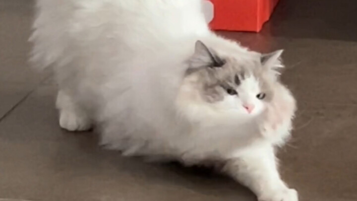 Kalau adegan ini nggak terekam, aku bakal nyesel seumur hidup.