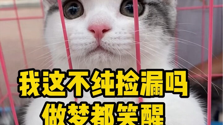 Tôi chẳng phải đang hốt được món hời đấy thôi, nằm mơ cũng bật cười tỉnh luôn