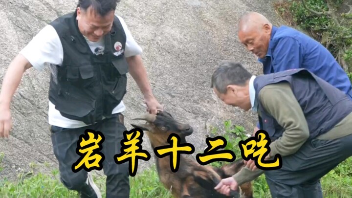 Kambing yang berlari di dinding batu itu tampak begitu lezat, yakni kambing gunung sebanyak 12 ekor.
