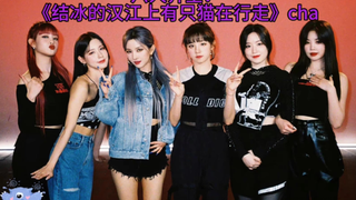【GIDLE】六娃齐全！🐰🦁🦋🐺🐶🐱cha《结冰的汉江上有只猫在行走》