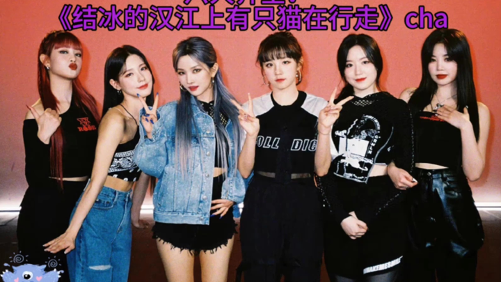 【GIDLE】ครบทั้งหกตัว! 🐰🦁🦋🐺🐶🐱 ชา《มีแมวตัวหนึ่งเดินอยู่บนแม่น้ำฮันที่กลายเป็นน้ำแข็ง》