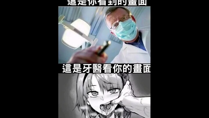 (Gambar meme lucu di internet)