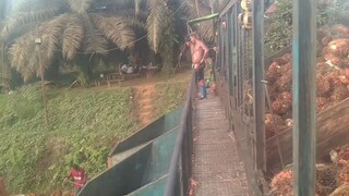 Pasukan Berduri