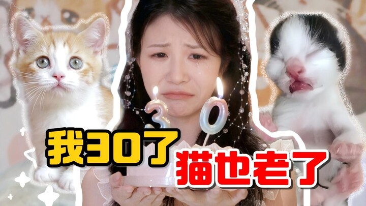 I’m 30, and my cat’s getting old too | Huahua & the Three Cats