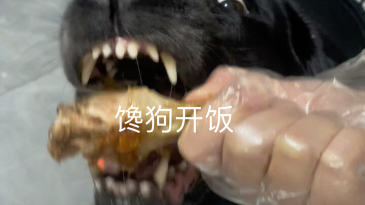 وجبة أخرى من الصفقات المميزة!