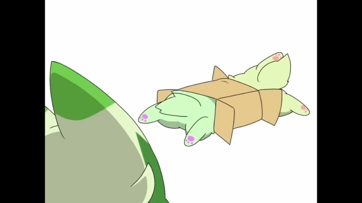[Pokémon] What cat would refuse a double-opening cardboard box?