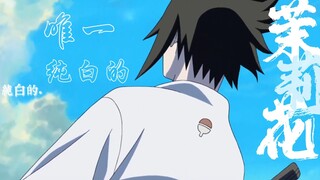【宇智波佐助】唯一纯白的茉莉花