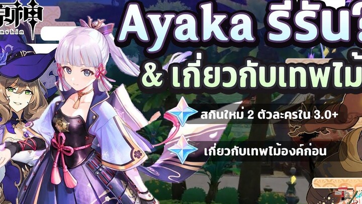 หรือว่า Ayaka จะกลับมารีรันในแพทช์ 33+ และ เกี่ยวกับเทพไม้ ✦ Genshin Impact