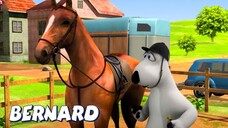 Bernard Bear _ Horse Race! AND MORE _ Full Episodes
