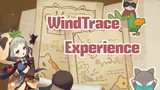 My WindTrace Experience