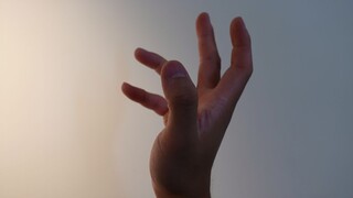 音樂家