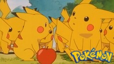 Pokémon Tập 39: Lời Tạm Biệt Của Pikachu (Lồng Tiếng)