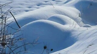 A collection of fun overseas videos—after watching, you'll feel like the whole world is so joyful! #