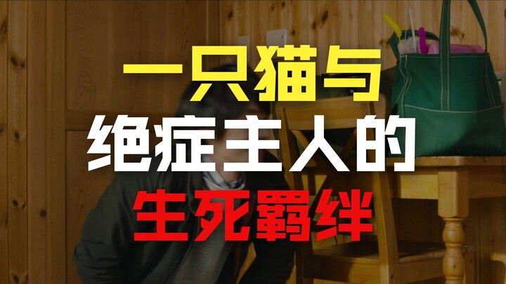 Mối lương duyên cứu rỗi giữa người đàn ông mắc ung thư và chú mèo hoang