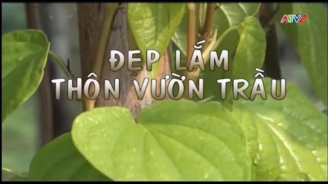Ca nhạc - Đẹp lắm thôn vườn trầu (2) (ATV2 - An Giang) (25/01/2026)