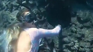 An unexpected discovery while diving on the seabed: the scene is breathtaking!