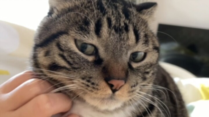 เดิมพันกับฉัน แต่ชูย่วนเป่า