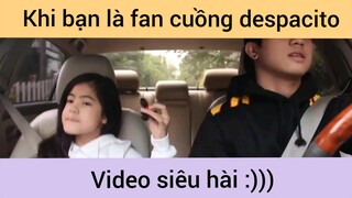 Khi bạn là fan cuồng despacito