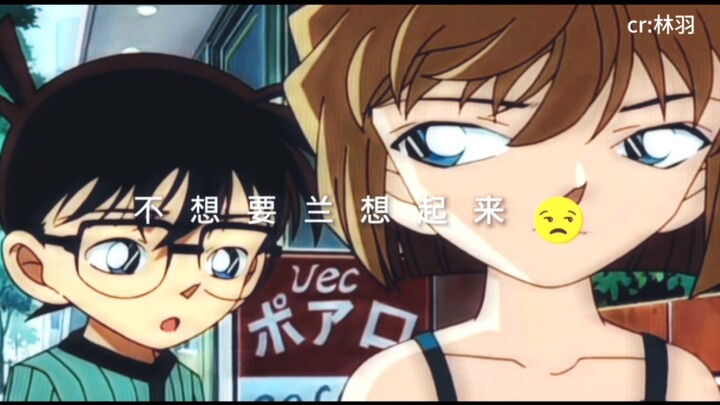 灰原哀欠毛利兰一句对不起