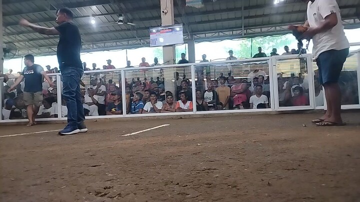 Pa champion 2x mayahin December 25 2025