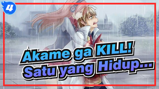 Akame ga KILL! | [Kesedihan] Yang Bisa Bertahan Adalah Yang Paling Menderita_4