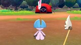 [Pokémon Sword and Shield] So you can fly