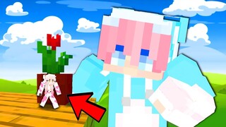 MOMON MAIN MINECRAFT HIDE AND SEEK TAPI JADI KECIL feat @BANGJBLOX | MINECRAFT