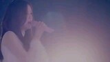 Lagu vibe sedih jepang -  YUKI NO HANA