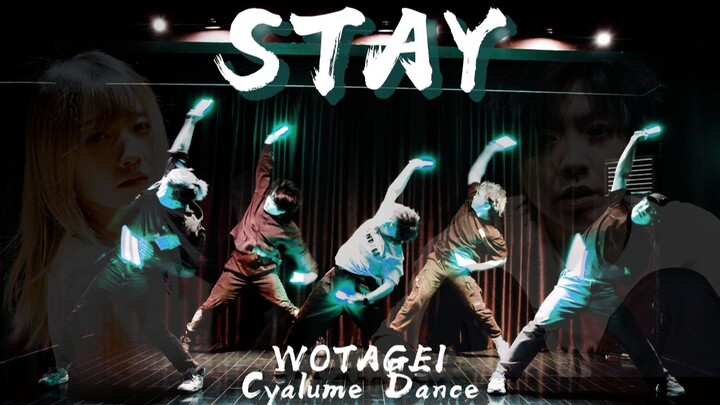 火爆全网的STAY！高质量WOTA艺演绎！【MyStic】