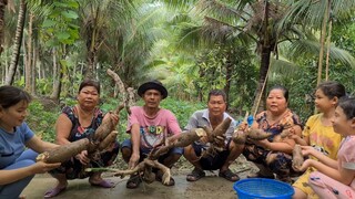 Chỉ Cần Thao Tác Đơn Giản Là Gia Đình Thu Hoạch Cả Chục Ký Khoai Đem Về Làm Bánh |TKQ & Family T1081