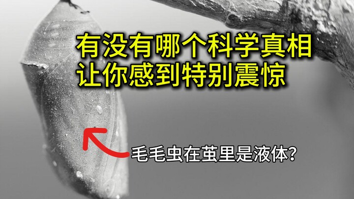 人被凝视就会变蠢，梦里的故事是自己编出来骗自己的，还有哪些让人震惊的真相