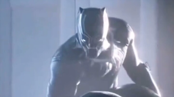 Black panther