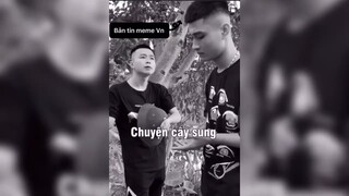 Anh em cây sung #memehai