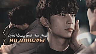 Ji Won Young and Yoon Tae Joon { на атомы } Unintentional Love Story