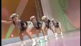 1995 Chosun King Jaesan Bộ sưu tập khiêu vũ của đoàn nhạc nhẹ