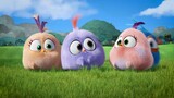 Angry Birds Blues - New series OUT NOW! too watch full movie link in description