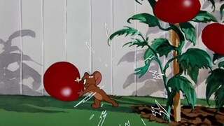 Tom and Jerry | Duo ayah dan the best child ever 16