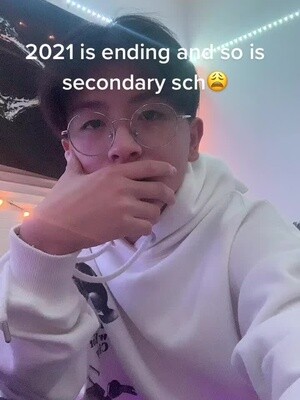 idk what to do at end sorry
