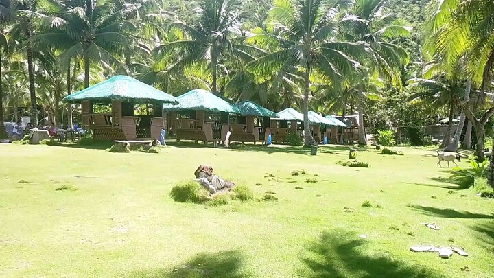 villa galleogos beach resort ⛵