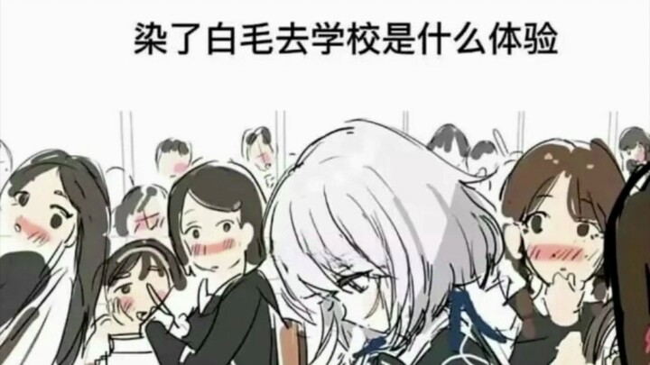 (Internet Hilarious Meme Pics 526)